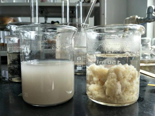 湟中食品廠破乳劑除油劑專用化學(xué)產(chǎn)品使用指南